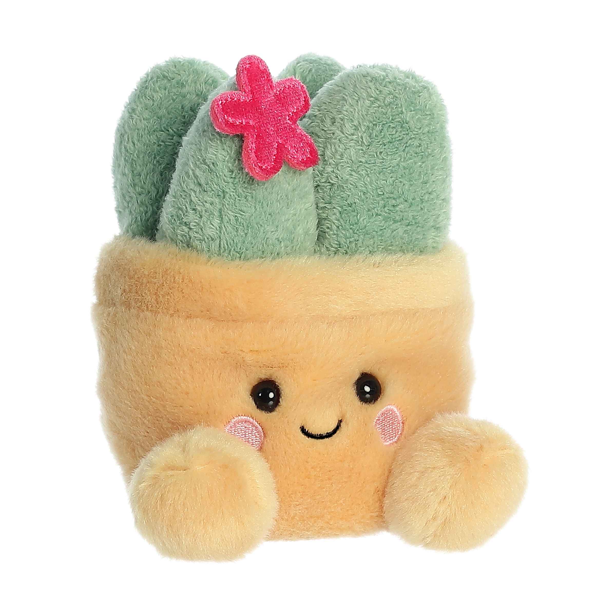 Kelley and Company - Wholesale Stuffed/Plush Toy - Kids & Baby - 5" Plush Pal Succulent Potted Palm Pals Stuffed Animal3