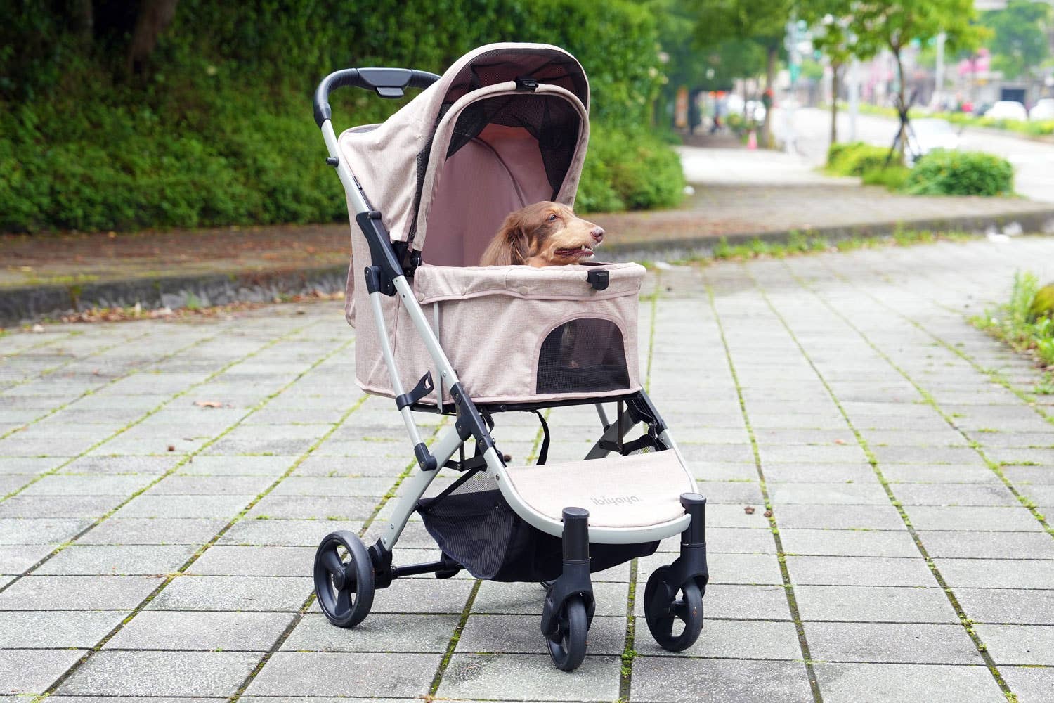 Ibiyaya - Wholesale Pet Carrier - Cat/Dog - Evolution Speedy Fold Pet Buggy Foldable Cat Rabbit Dog Pram1