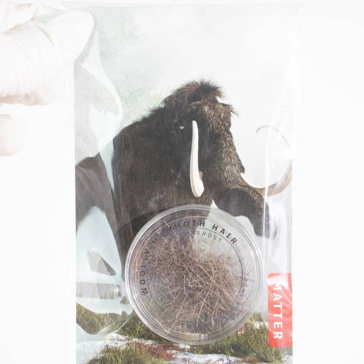 Stemcell Science Shop - Wholesale Hair Clip - Women's - Woolly Mammoth Hair