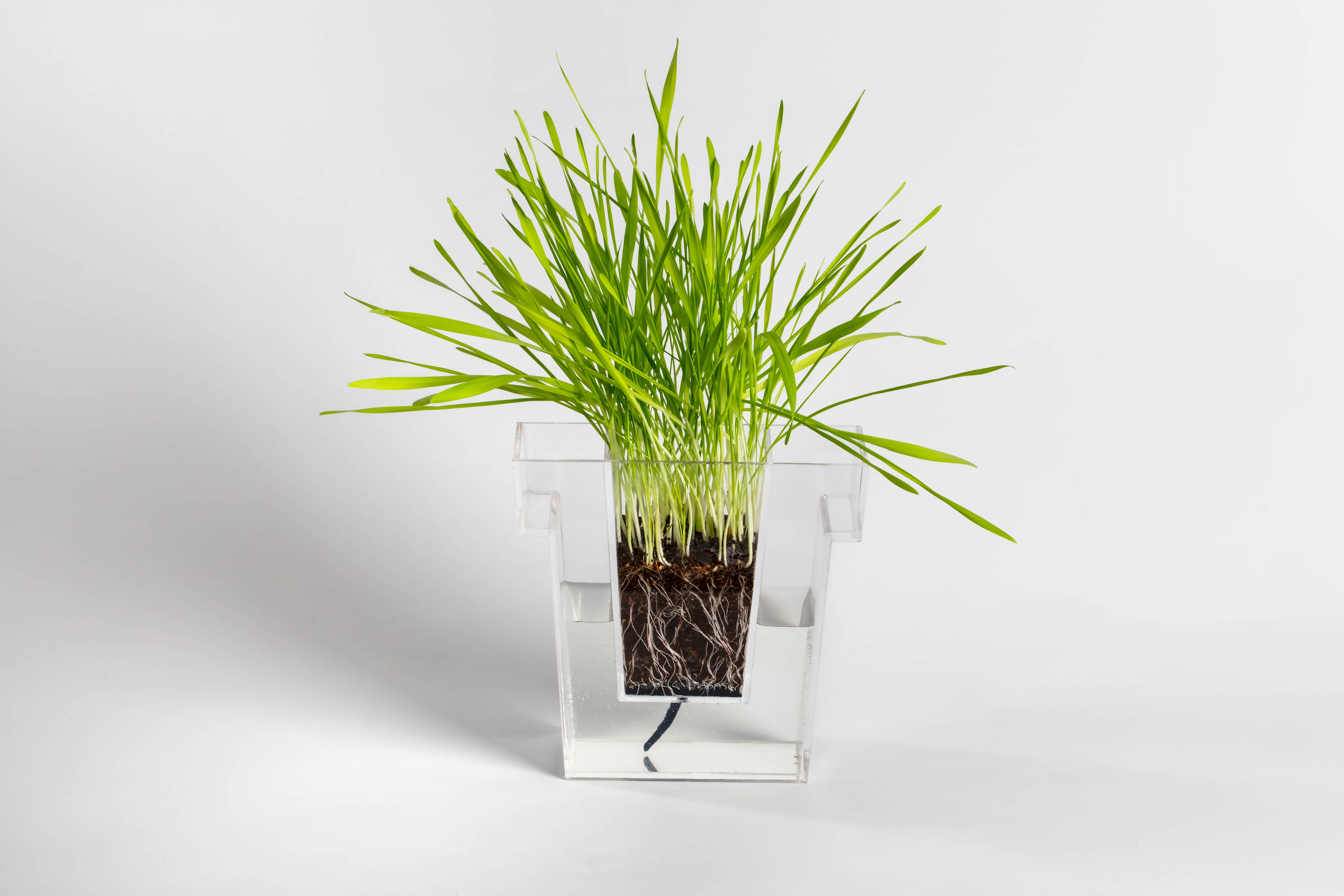 Object Rights - Wholesale Plant Pot - Self Planter0