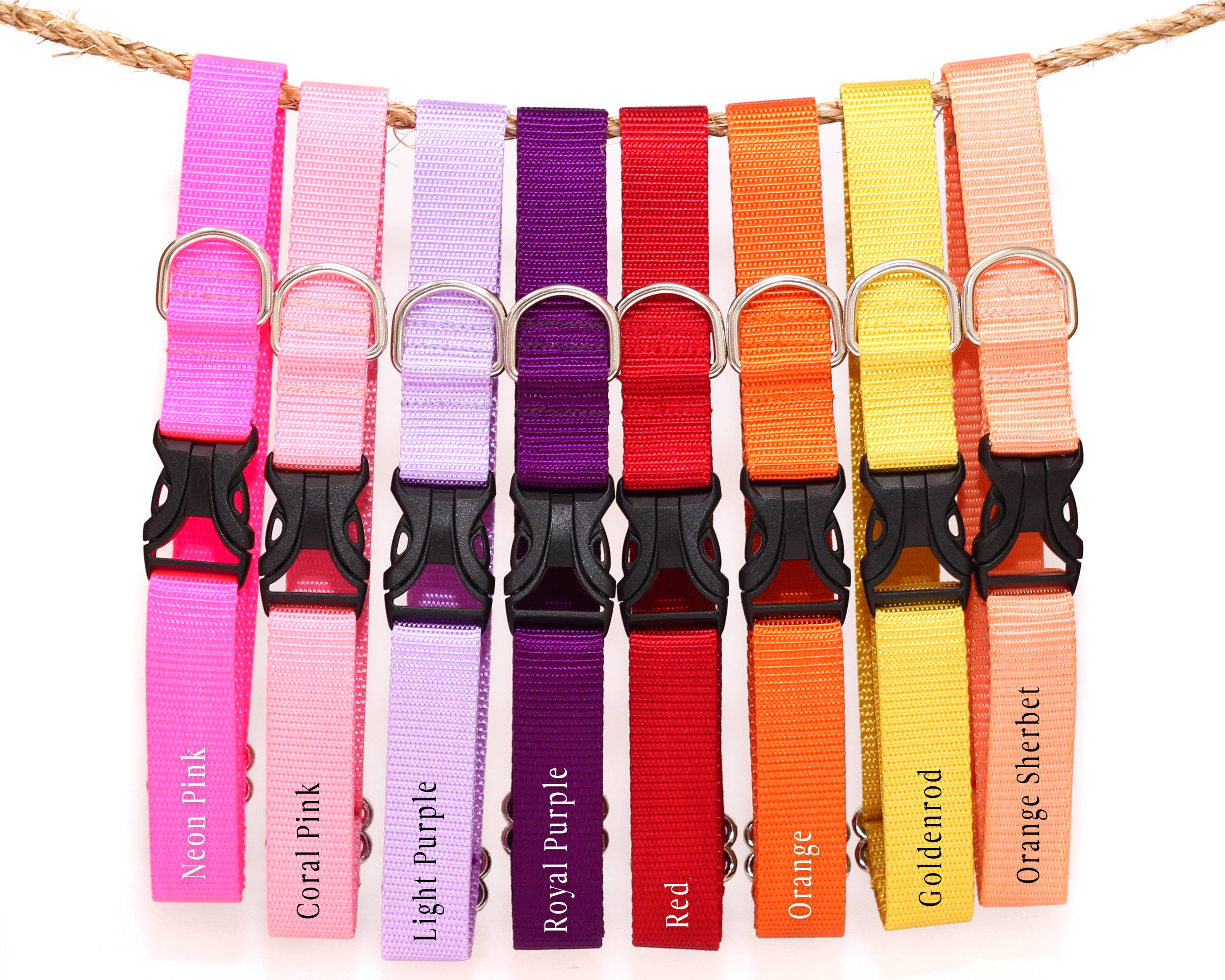 Zaley Designs – Engroshandel Halsbånd - Hund – Enfarvet halsbånd til hund i webbing med plastspænde5