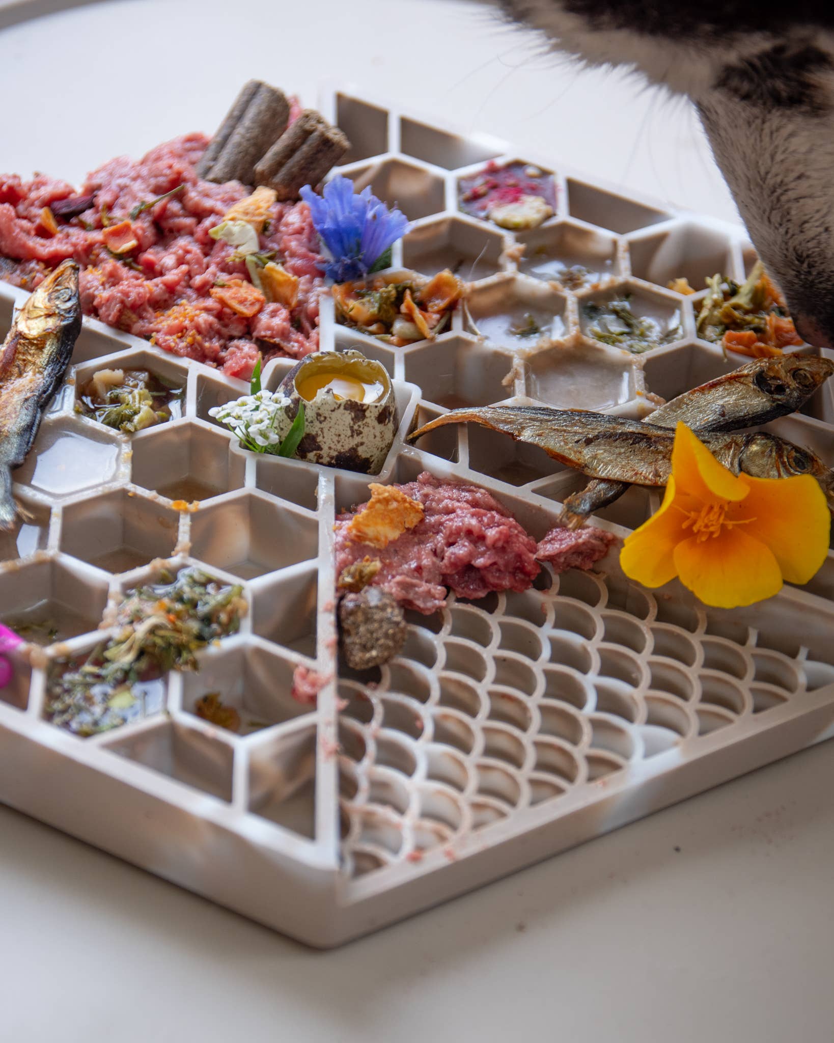 LIEVICK - Wholesale Pet Food Mat - Dog - LIEVICK Lick mat | Dark Latte & White1