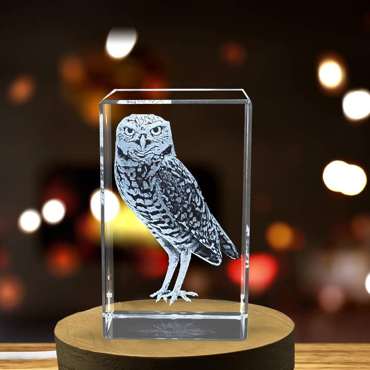 AB Crystal Collection - Venta al por mayor Artículo decorativo de mesa - Escultura de Cristal Bellamente Grabada en 3D de un Búho Excavador Recuerdo Regalo