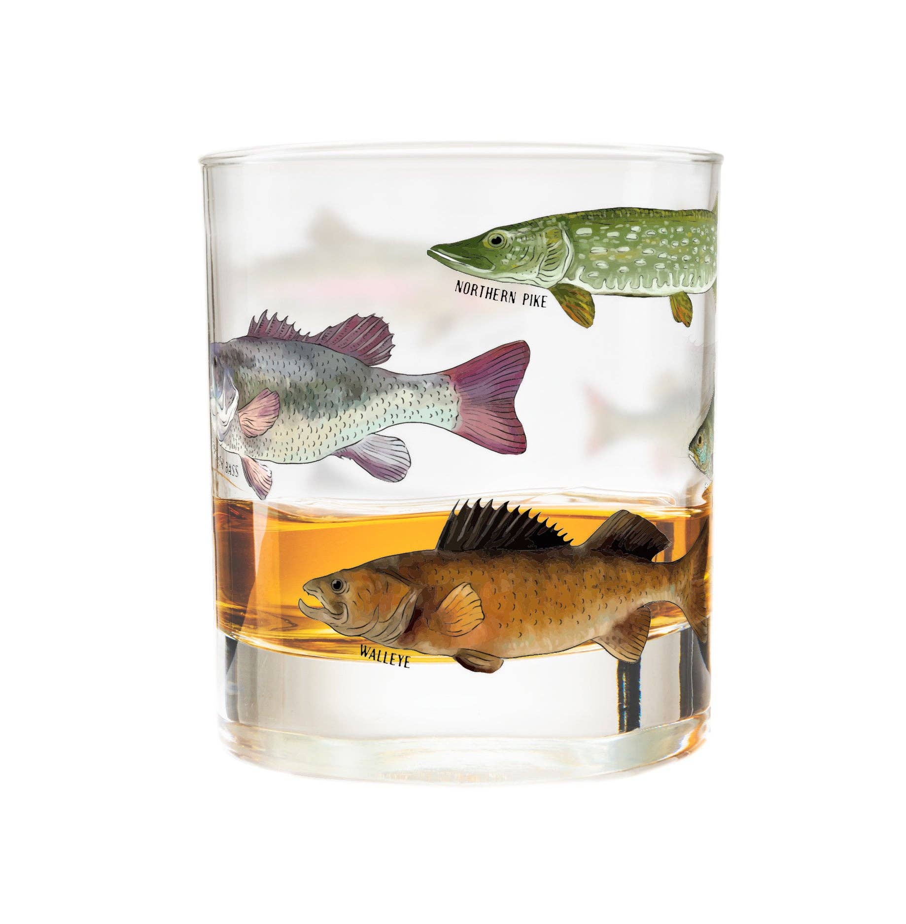 Greenline Goods - Wholesale Cocktail/Liquor Glass - Freshwater & Saltwater Whiskey Glass Set3