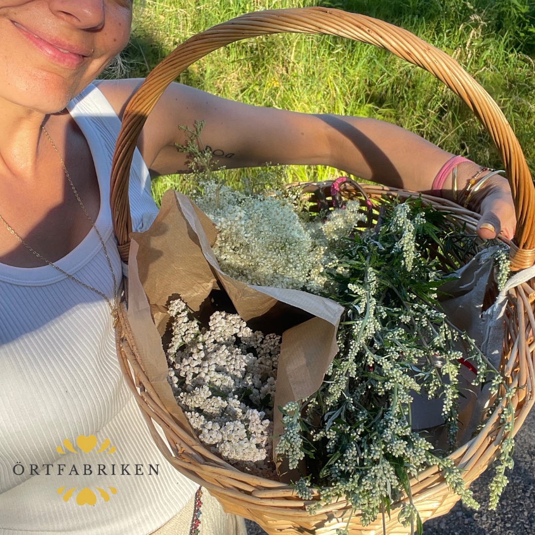 Örtfabriken - Vendita all'ingrosso Olio essenziale - Olio essenziale di rosmarino ♡ 10ml3