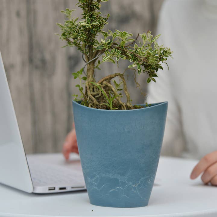 Greenship Decorative Bowl Planter, L.5.5"x W.3.9"x H.5.9" for wholesale by Greenship Garden USA