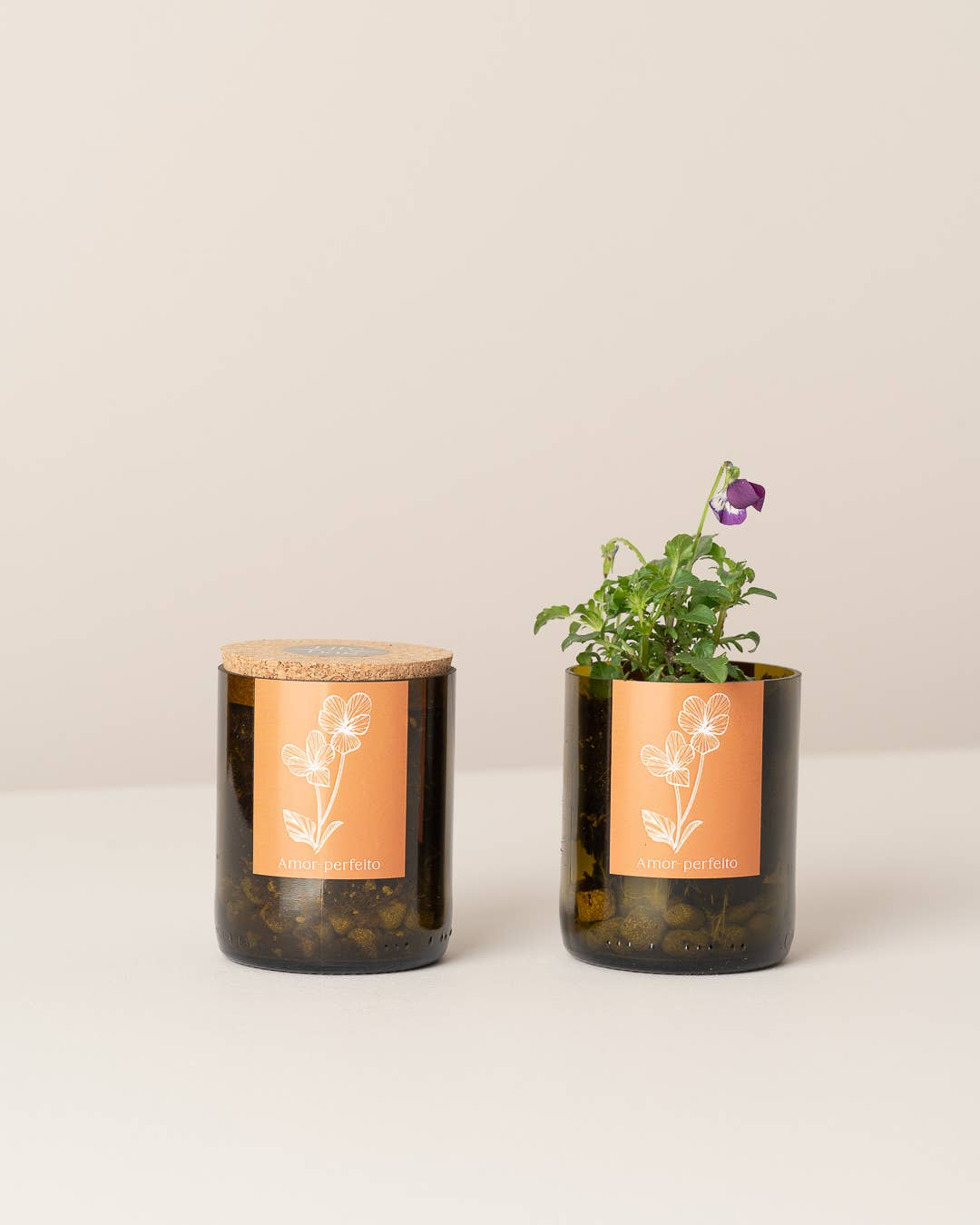 Life in a bag - Wholesale Plant Pot - Bottle Garden Pansy