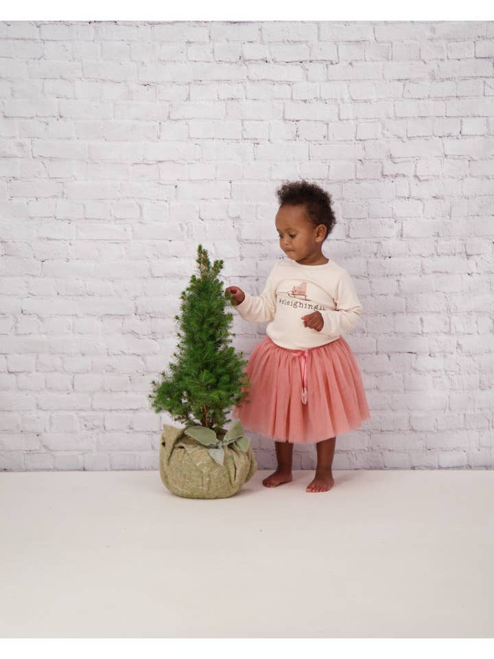 Tiny Victories - Wholesale Tutu - Kids - CLASSIC TUTU IN ROSE