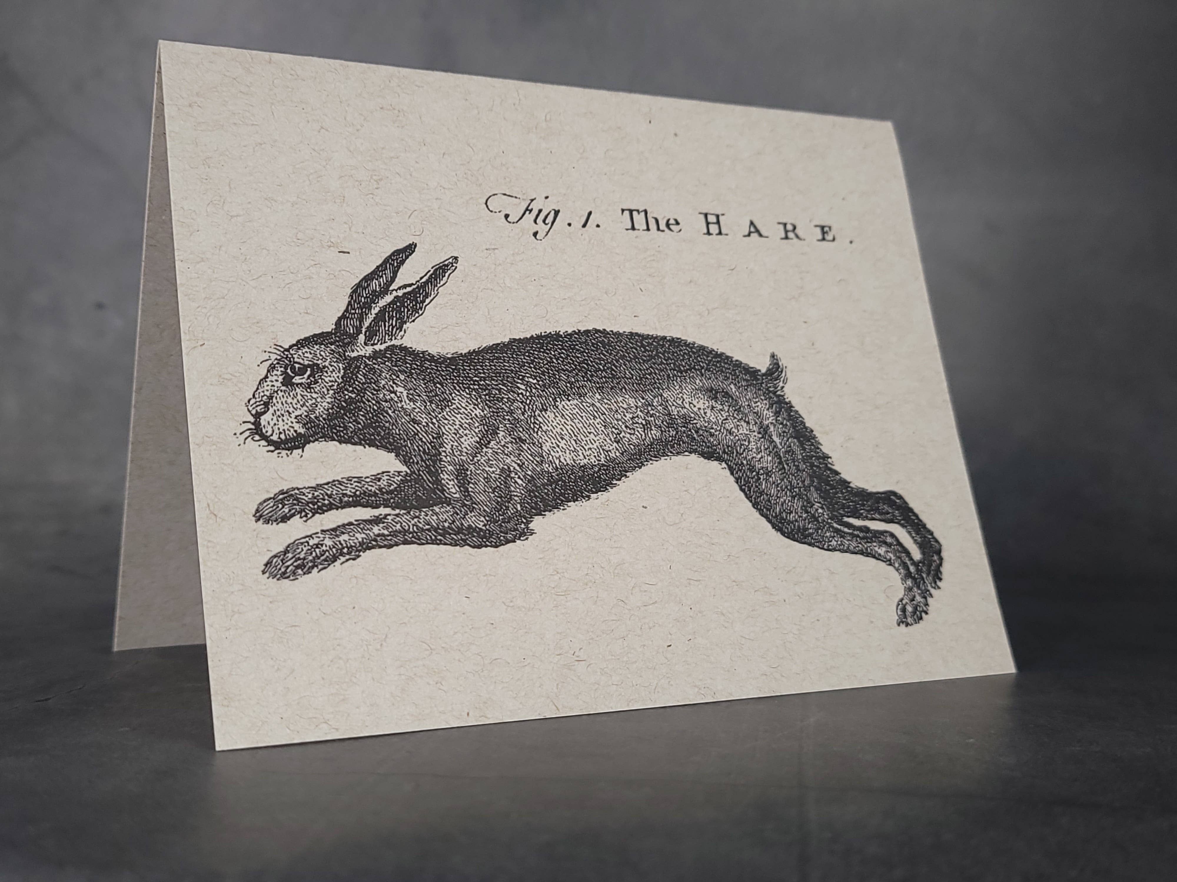 Superior Dry Goods - Wholesale Everyday Greeting Card - "Rabbits" Recycled Greeting Cards | Handcrafted4