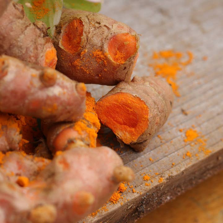 Rooster farms - Wholesale Plant Seeds - 1 Pound Hawaiian certified organic Turmeric Raw Roots Natural Organically Grown1