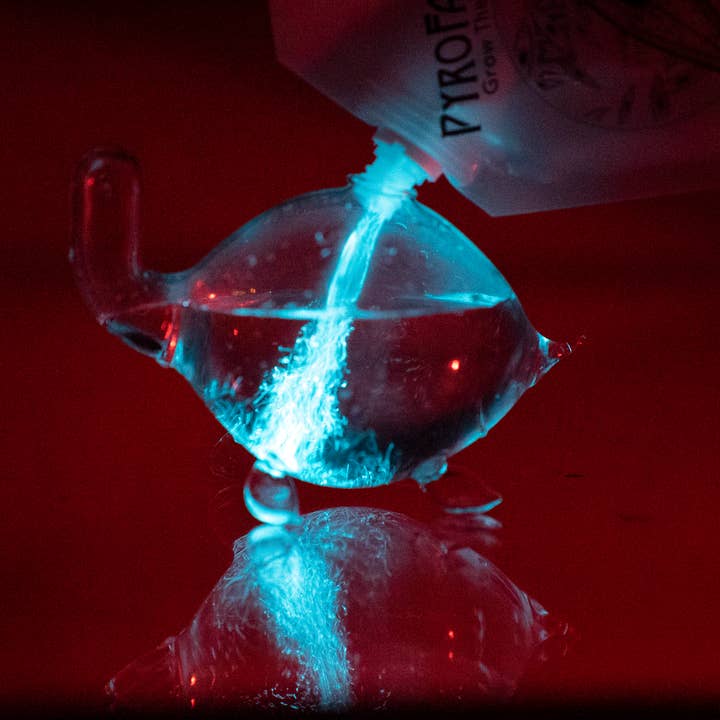 PyroFarms - Wholesale Decorative Tabletop Object - Bioluminescent Bio-Turtle - Gift Option