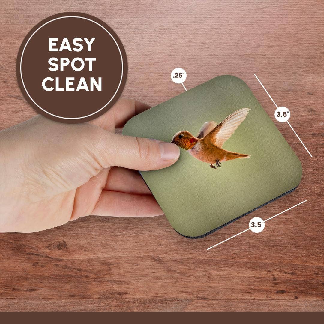 3dRose – wholesale Coasters – 3dRose, Rufous hummingbird, Selasphorus rufus. , Coaster13
