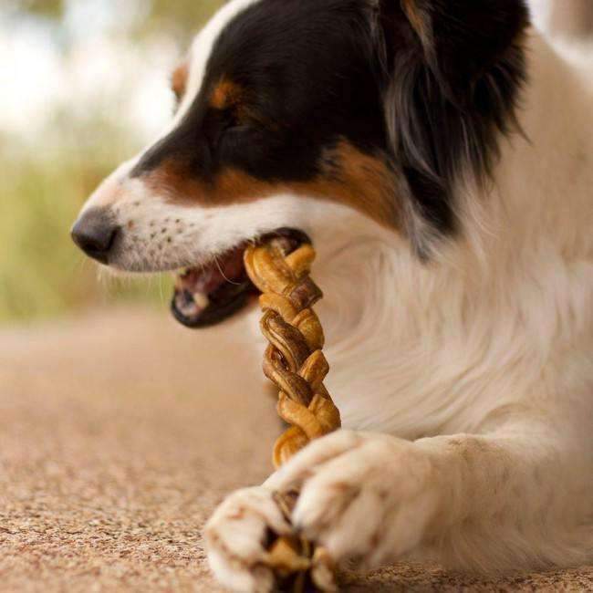 Pawstruck - Wholesale Pet Treats - Dog - Pawstruck 9" Braided Bully Sticks4