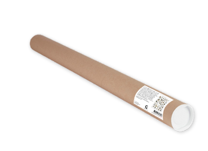 Gullers Trading AB - Venta al por mayor Pósteres - Póster de aves suecas3