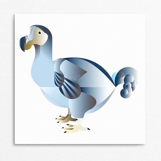 'Dodo' bird Greetings card for wholesale by Rachel Hunt Illustration