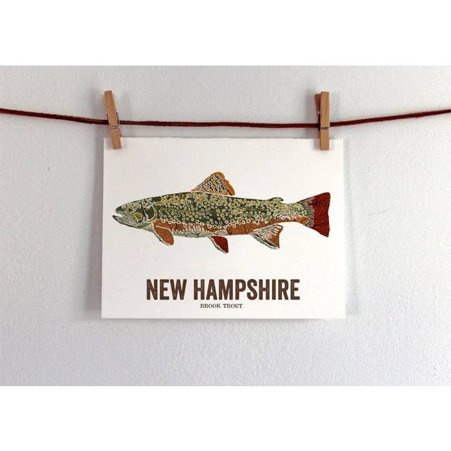 New Hampshire State Fish Art - Brook Trout for wholesale by Wooden Pencil Company