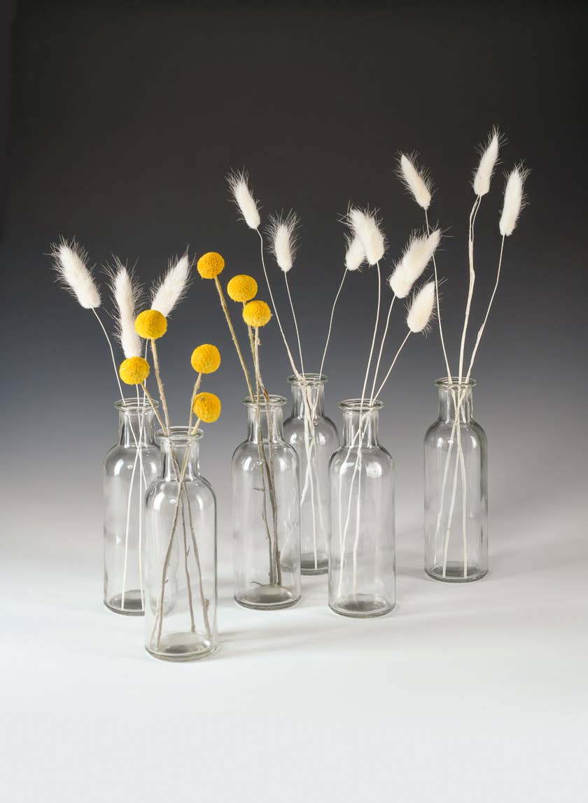 Jamali Garden - Wholesale Vase - Clear Glass Bottle Bud Vase1