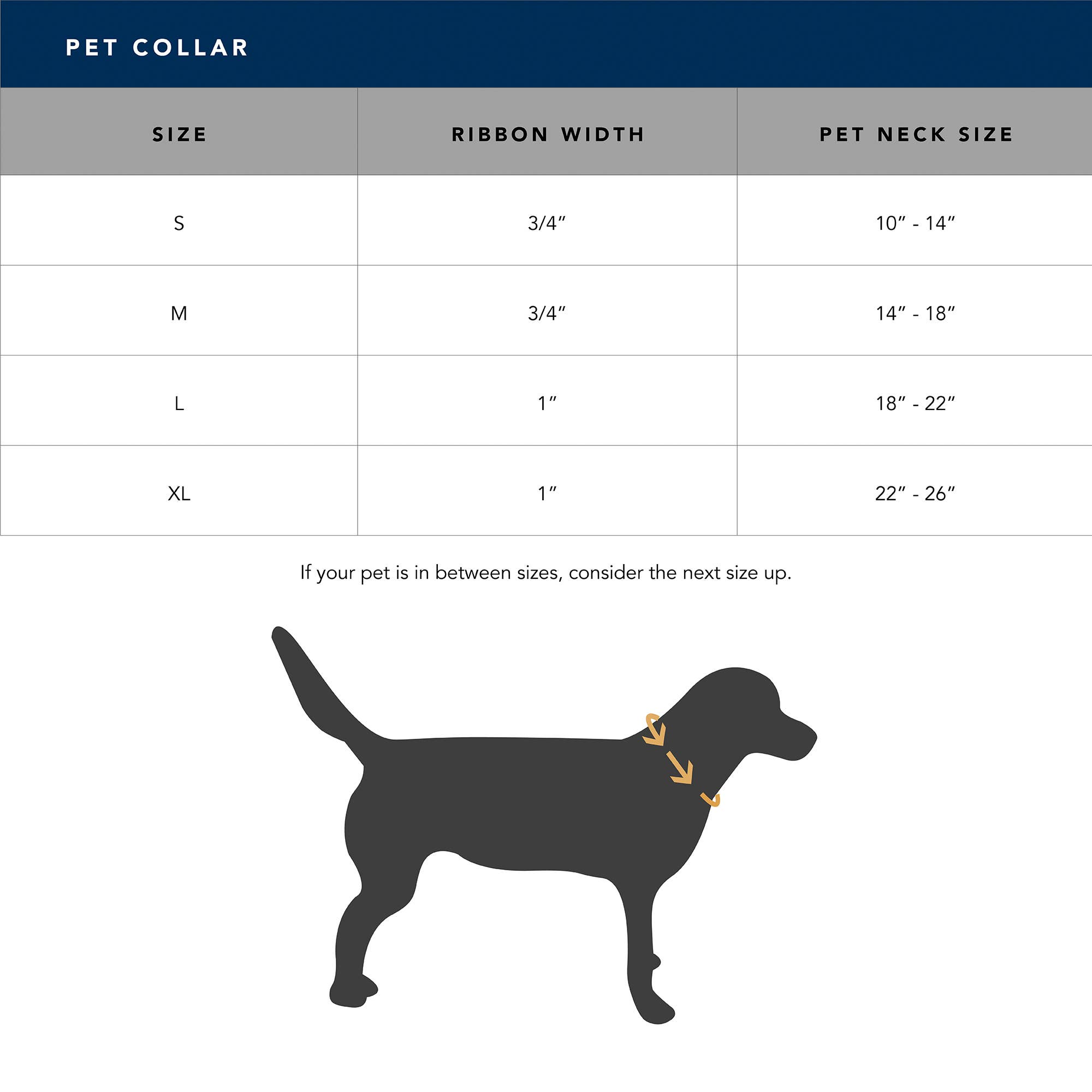 Carolina Pet Company - Wholesale Pet Collar - Dog - Checkered Wave Dog Collar2