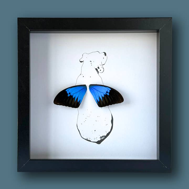 Sitting Dog Framed Boxer Art with Real Butterfly Wings for wholesale by Isms