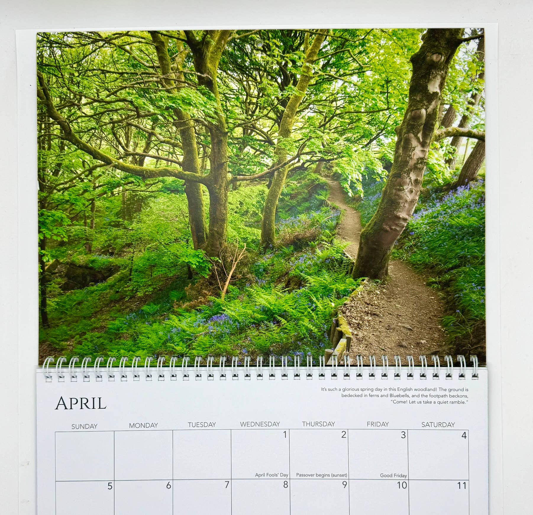 Wren - Wholesale Calendar - 2026 Calendar, A Closer Look5