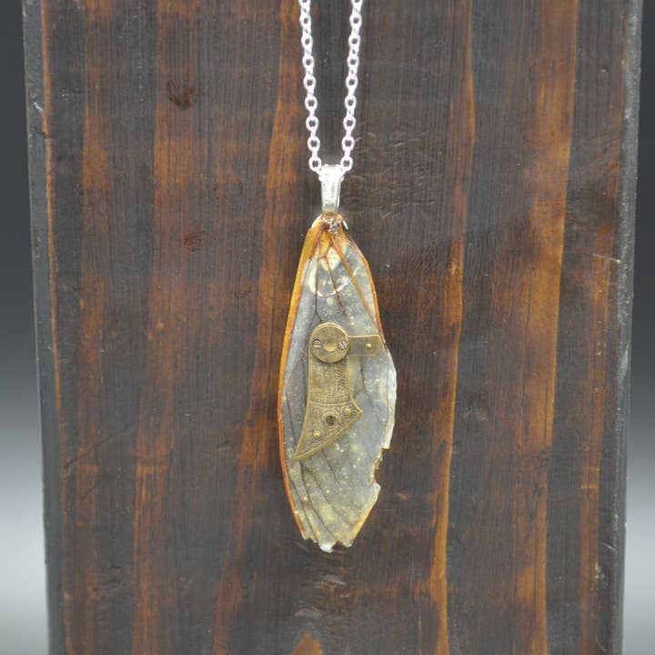 Cicada Wing With Watch Piece for wholesale by Antiquarian Couture