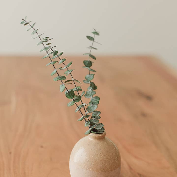 Eucalypt Co. - Wholesale Artificial Plant - Preserved Small Stems