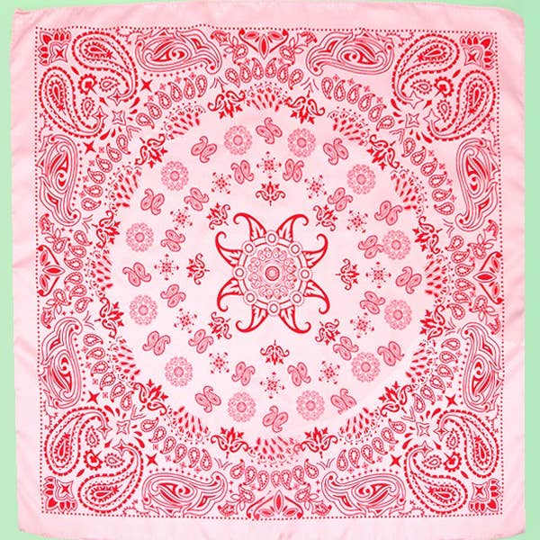 PAISLEY PINK SILKY FEEL BANDANA SCARF | 40SC616 for wholesale on Faire3