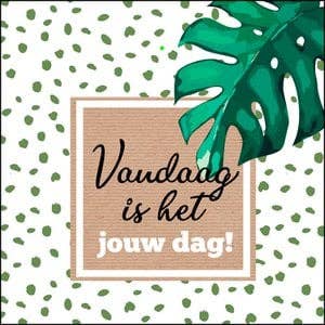 POSkaart | De Groot Design - Vendita all'ingrosso Etichette regalo - Etichette regalo Mix - Nr. M129