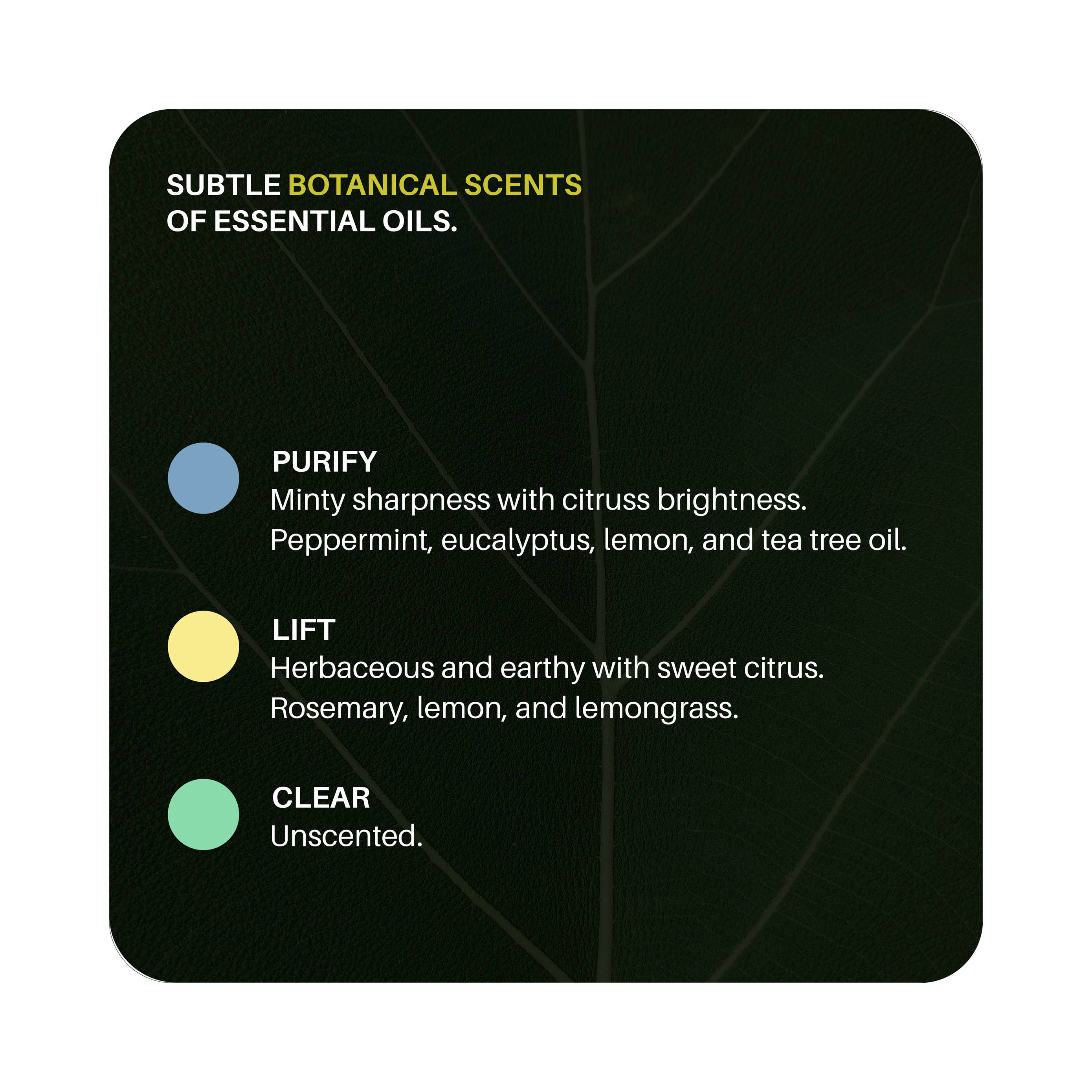 Everneat – wholesale Multi-surface cleaner – Natural Oven Cleaner (Buzzfeed, Huffpost, The Kitch...)6