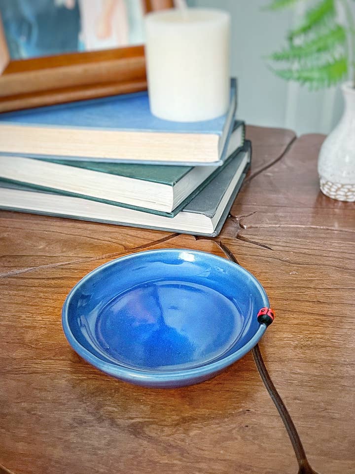 Small Dish- Wholesale for wholesale by Bug Pottery