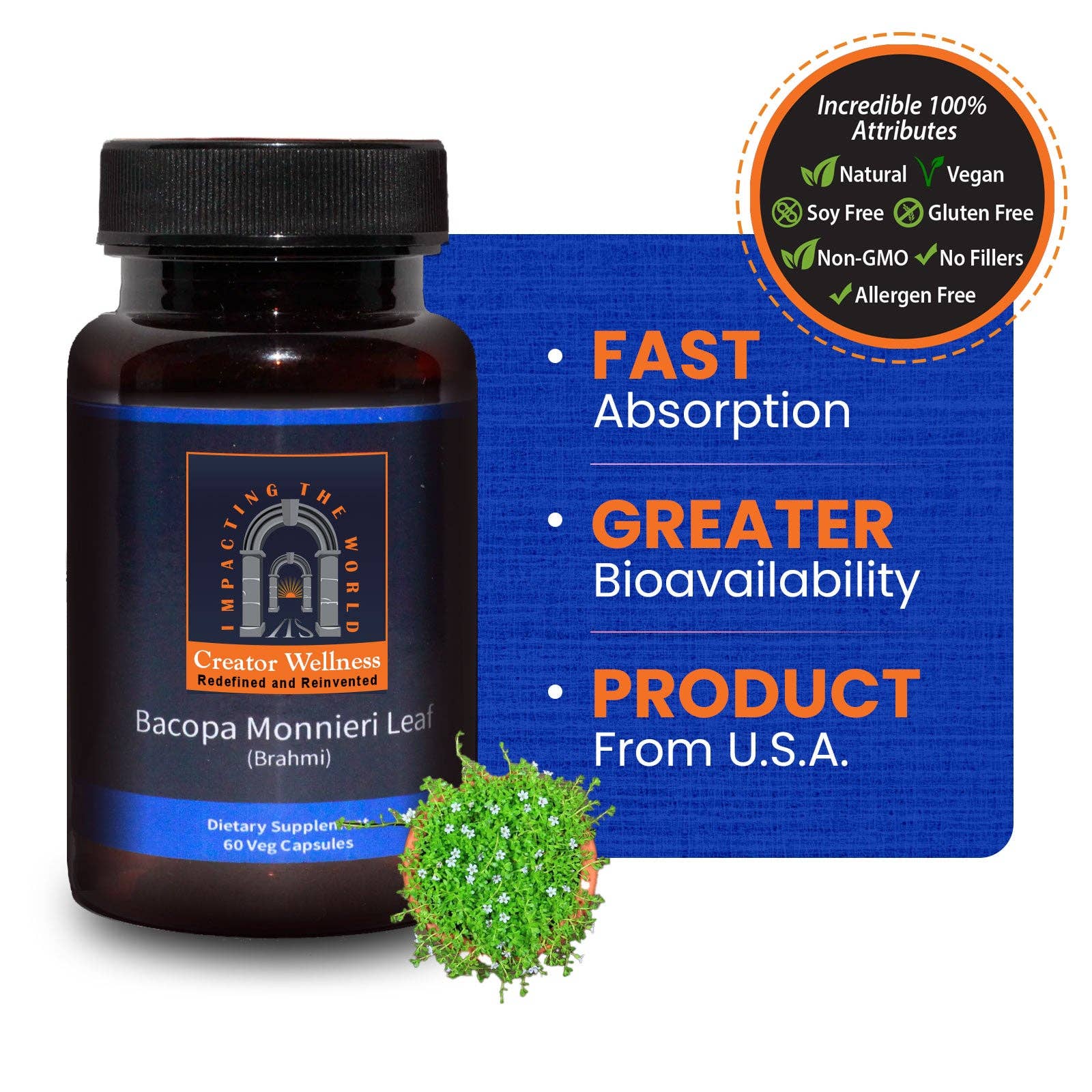 Creator Wellness - Wholesale Oral Supplement/Vitamin - Bacopa Monnieri Leaf - Brahmi | 60 Veg Capsules0