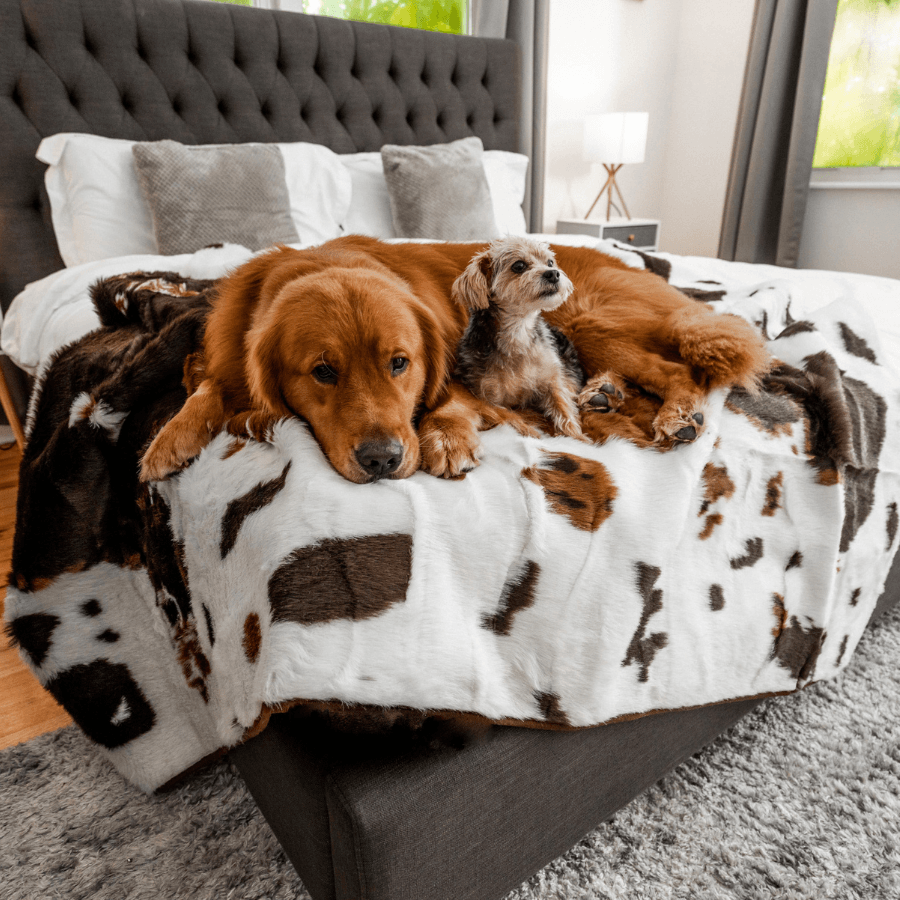 Paw Brands - Wholesale Pet Blanket - Dog - PupProtector™ Waterproof Throw Blanket - Brown Faux Cowhide1