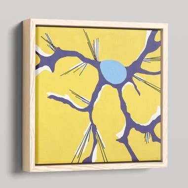 The Astrocyte Framed Canvas for wholesale by Kella L. Vangsness Art