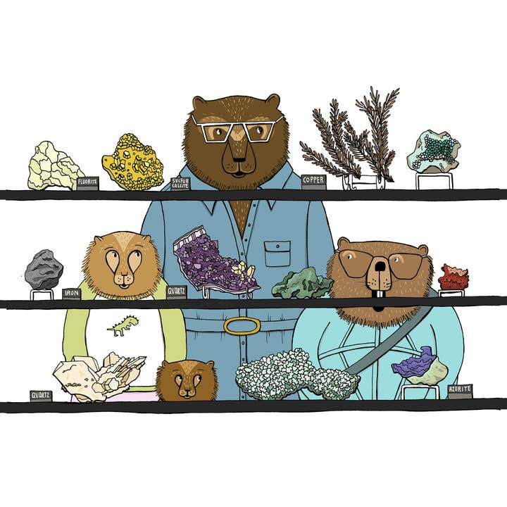 Sloe Gin Fizz - Wholesale Preschool Book (3-5) - Ann Arbor Adventures: Museum of Natural History Book2