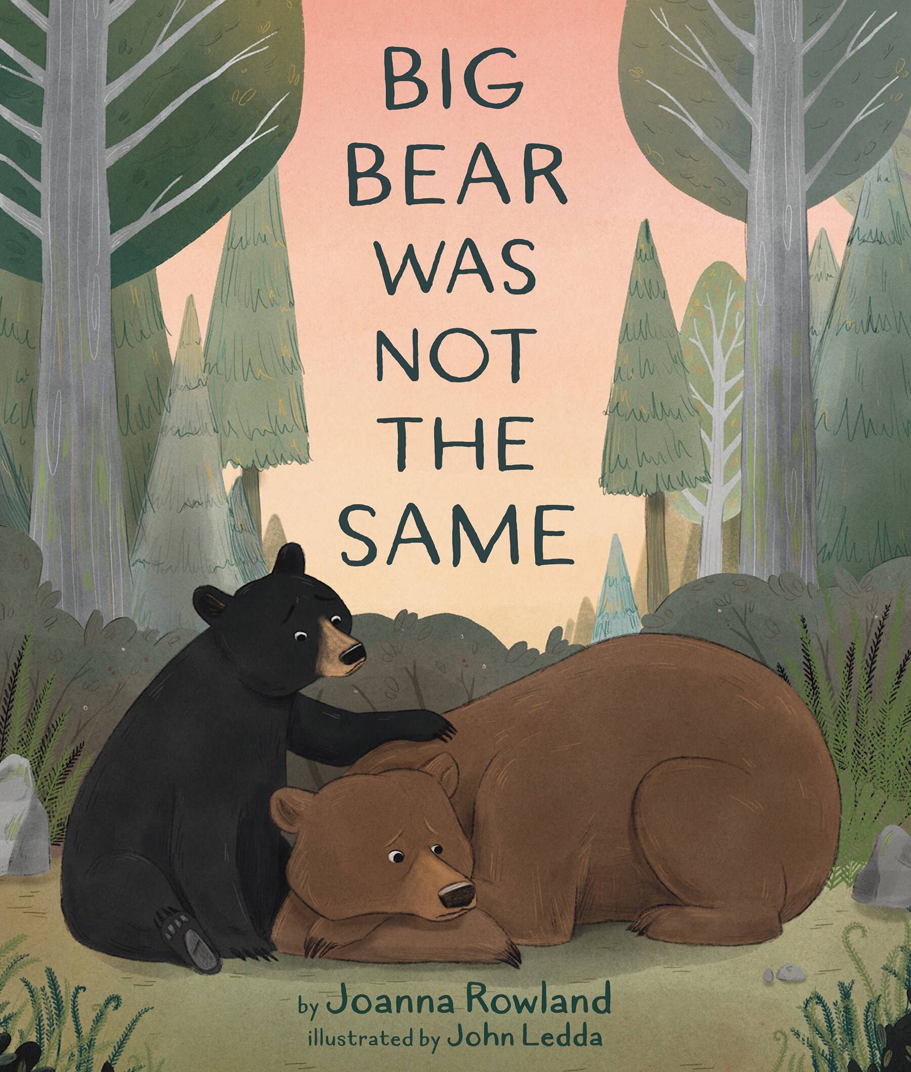Beaming Books - Wholesale Preschool Book (3-5) - Big Bear Was Not The Same Picture Book0