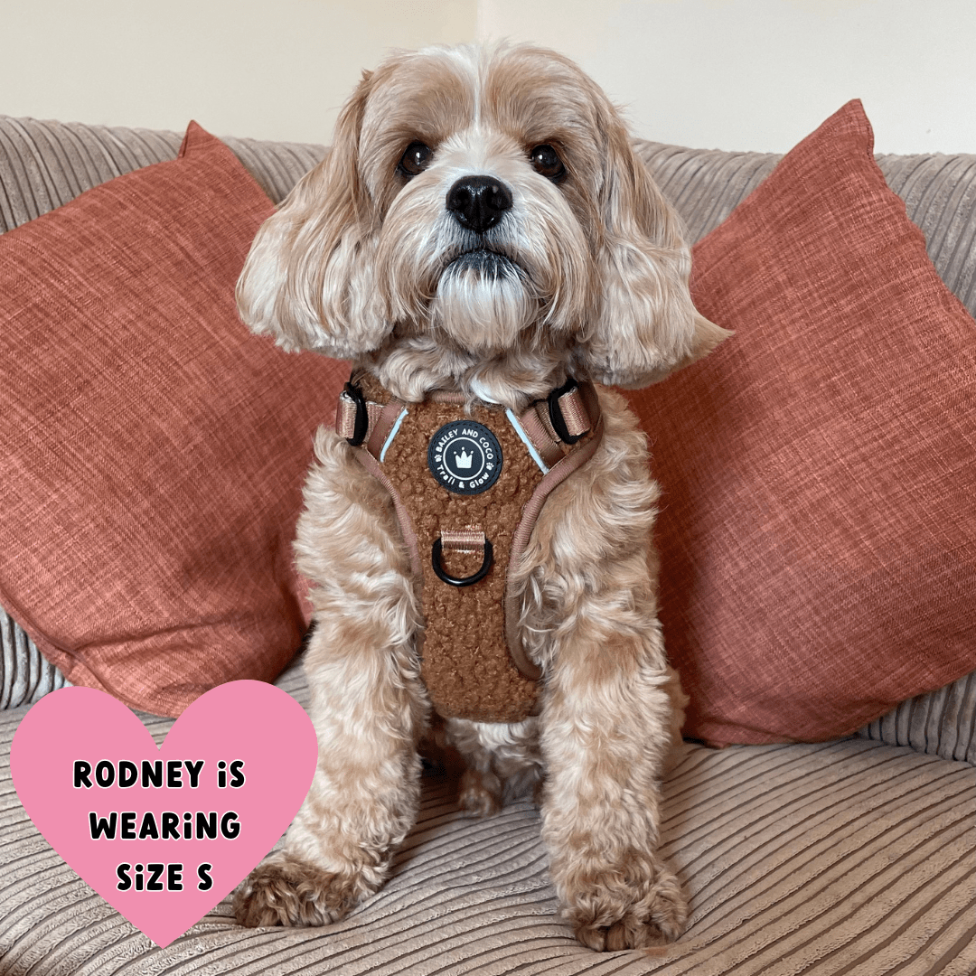 Bailey and Coco - Vente Harnais – chien - Ensemble de harnais pour chien Trail & Glow® - Ours en peluche12