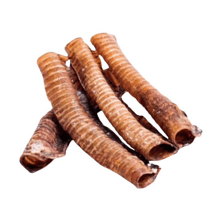 Trachée de boeuf XL 30CM pour la vente par LE COCON DE CESAR