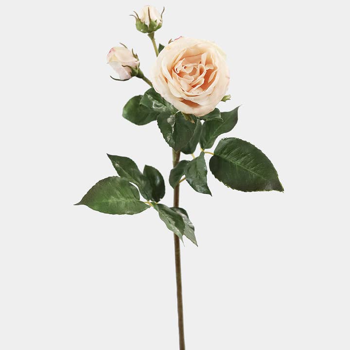 Prestige Botanicals - Wholesale Artificial Flowers - Real Touch Pink Rose 21.5"