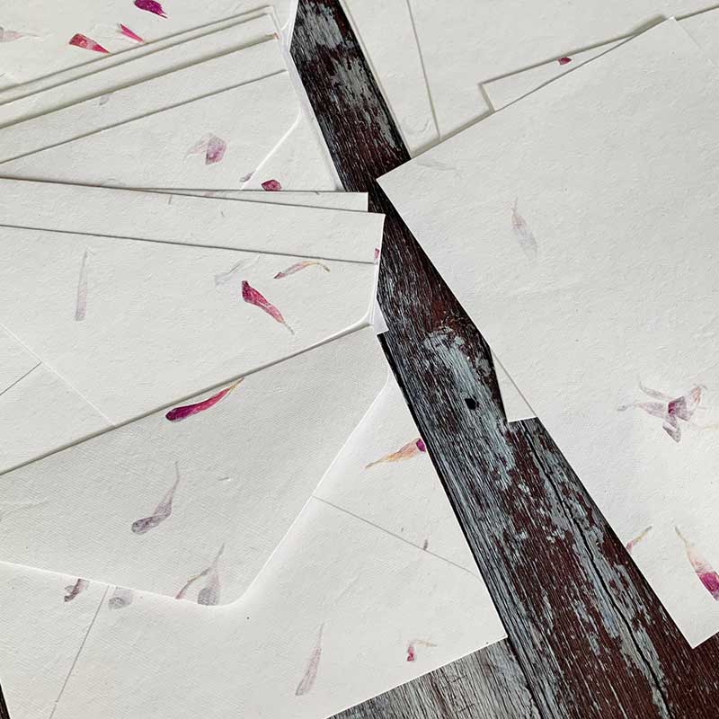 The Natural Paper Company - Wholesale Stationery/Notecard Set - Aster - Floral Handmade Paper and Envelope Set5