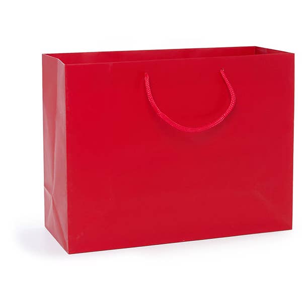 Nashville Wraps - Wholesale Gift Bag - Matte Paper Cord Handle Gift Bags20