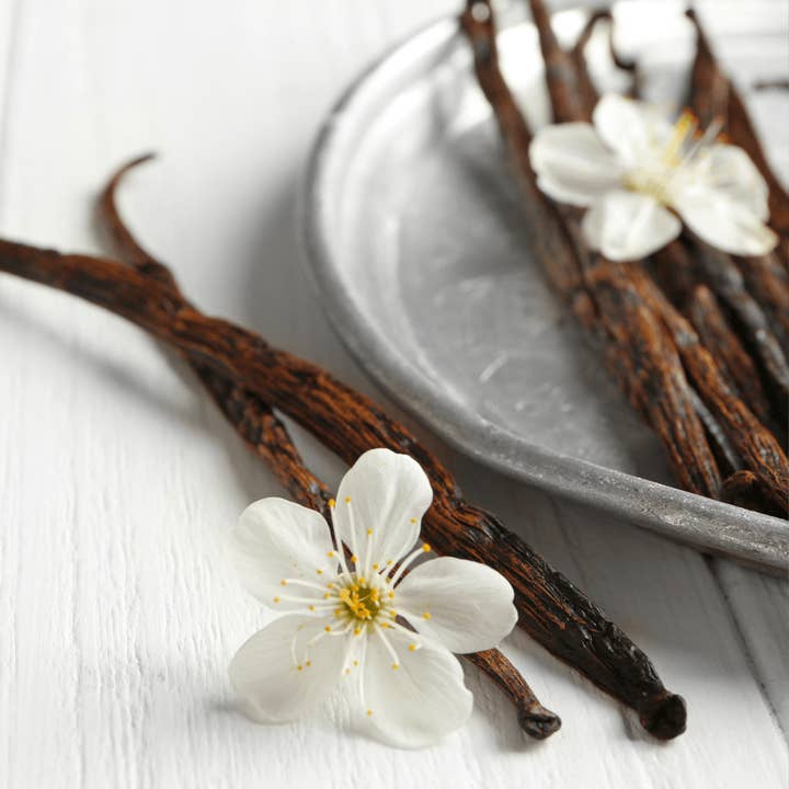 Vanilla Fragrance Oil for wholesale by Craftiful