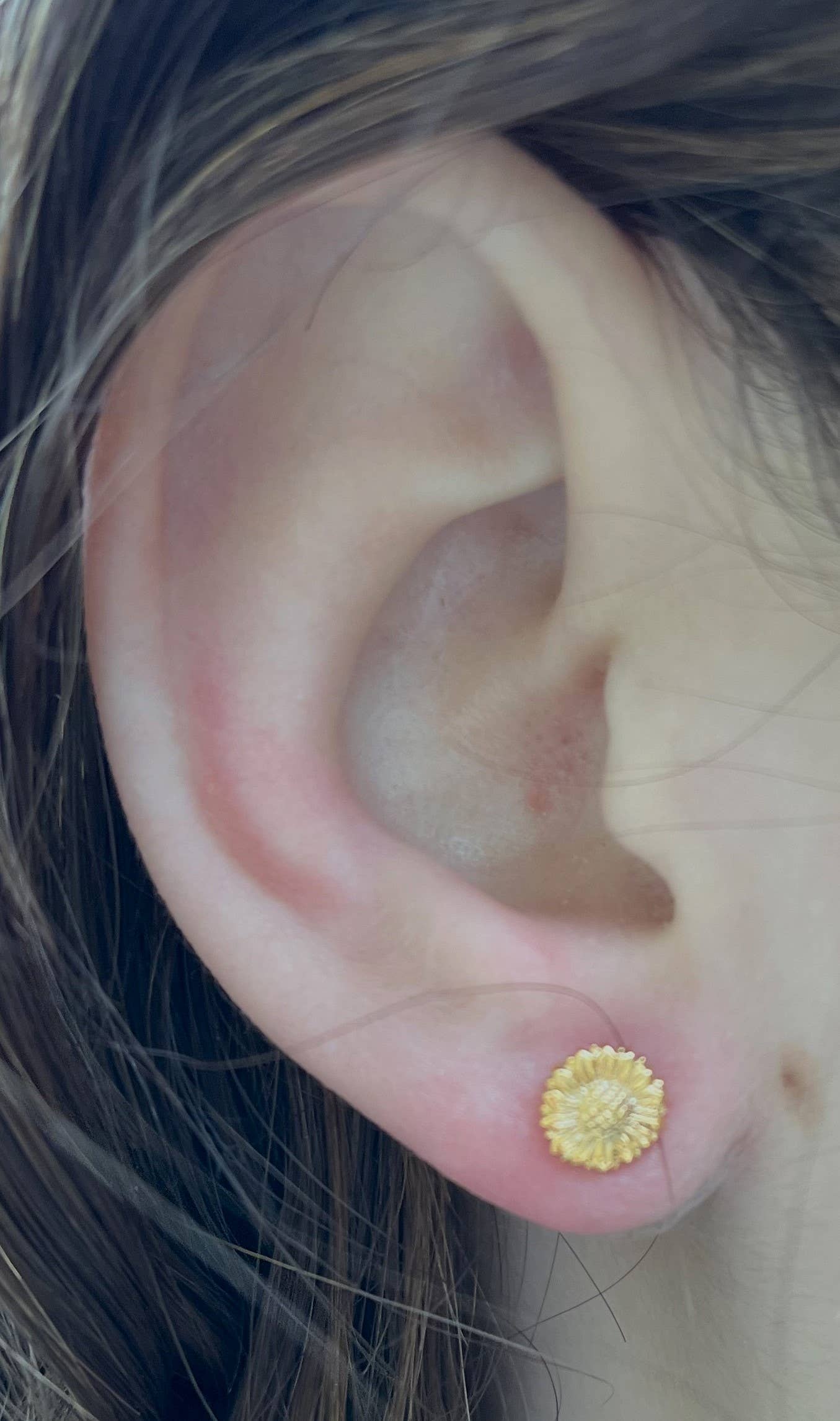 Semaki & Bird - Wholesale Stud/Post Earrings - Sunflower Stud Earrings -  gold  Natural History2