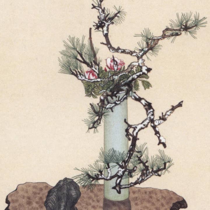 CATCH 12X12 DUBBELE KAARTEN NC 4868 voor wholesale door Phenicia