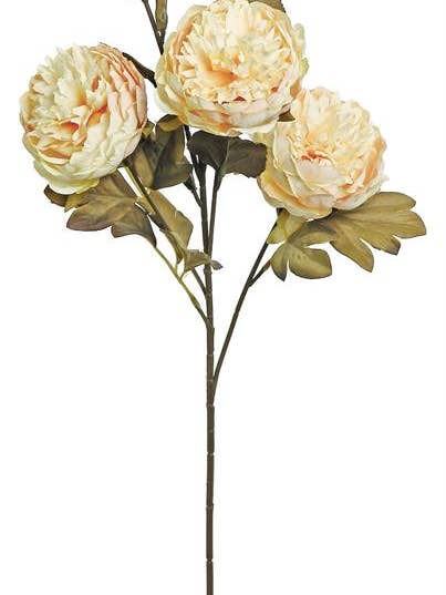 Harvest Peony X3 W/2 Buds, 26", Candlelight for wholesale by Select Artificials, Inc.