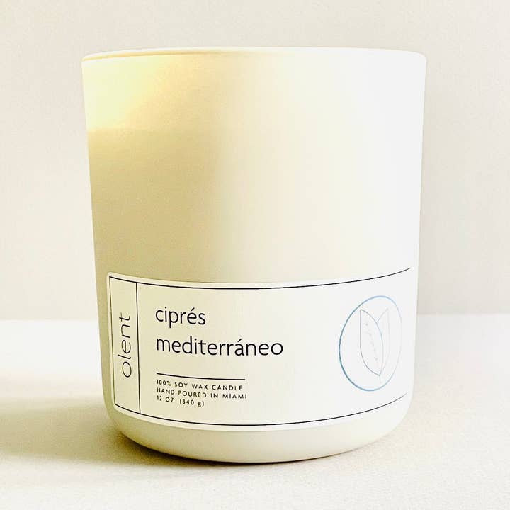 ciprés mediterráneo for wholesale by olent