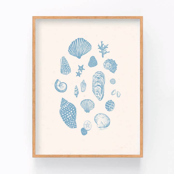Esboços de Conchas II Impressão de Arte - Coleção Reverie Costeira por atacado de Kaari & Co.