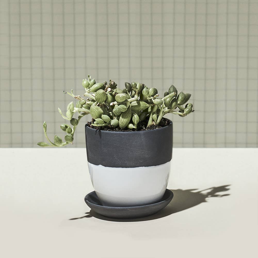 Chive - Vente Pot - Cache-pot en céramique Dyad Jardinières décoratives modernes avec soucoupe8