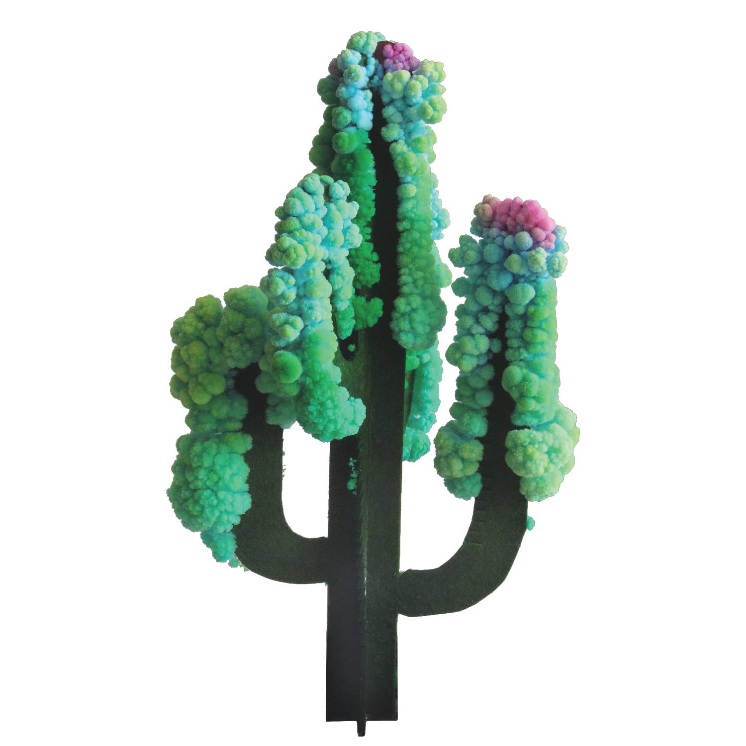 Copernicus Toys – wholesale DIY craft kit – Crystal Growing Saguaro Cactus | 
Craft Kit Science Kit3