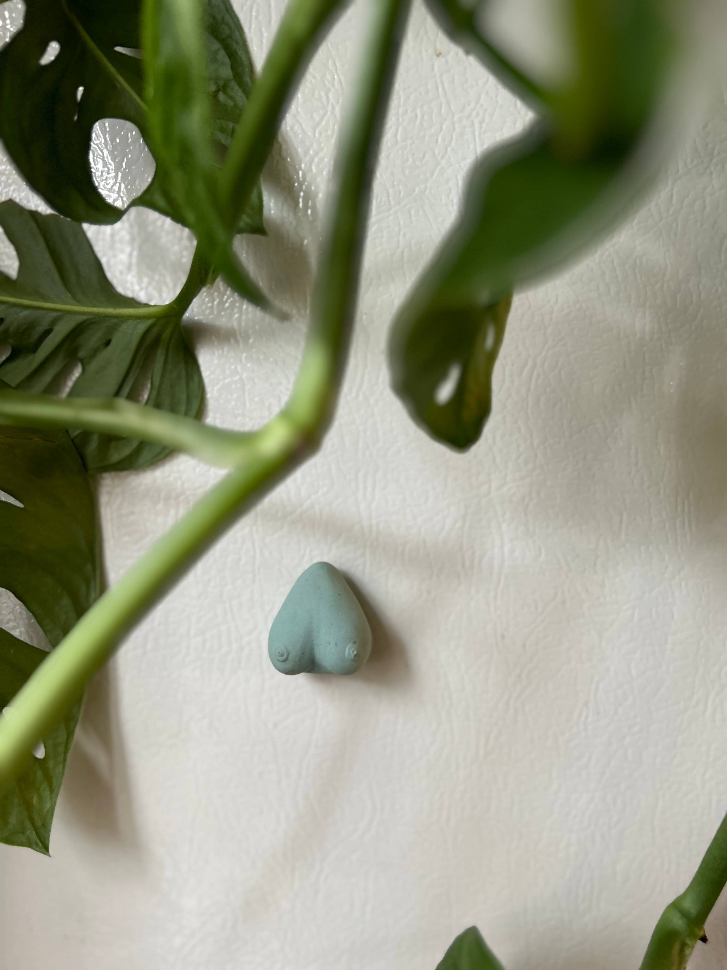 Queen City Crete - Vendita all'ingrosso Calamite - Magneti Boob 3