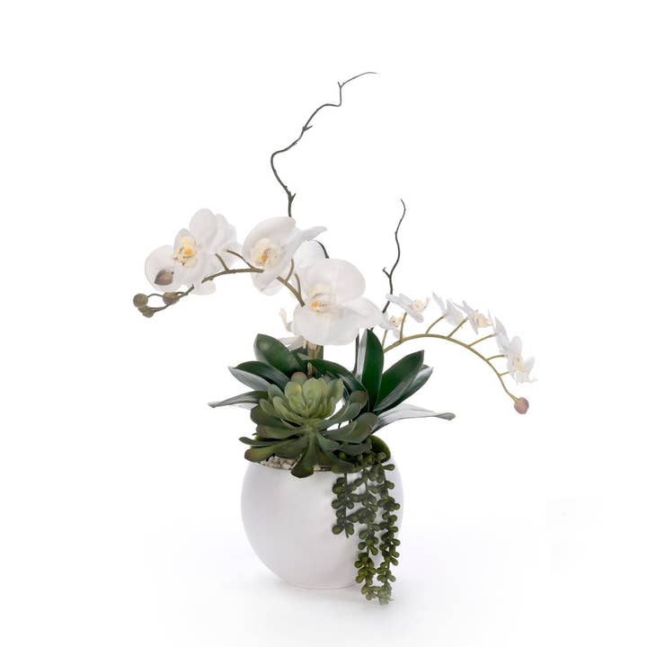 Real Touch White Orchid Flower Arrangement in White Bowl for wholesale by JENNY SILKS